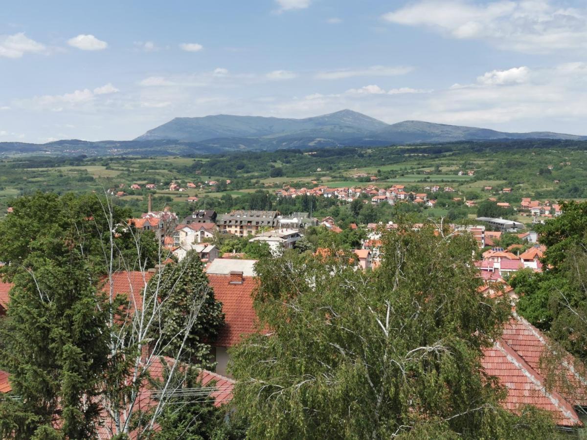 Vila Breza Sokobanja Buitenkant foto