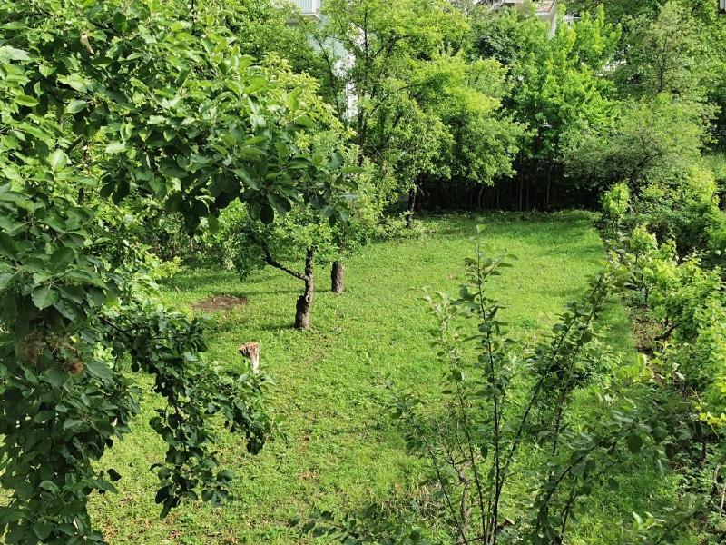 Vila Breza Sokobanja Buitenkant foto