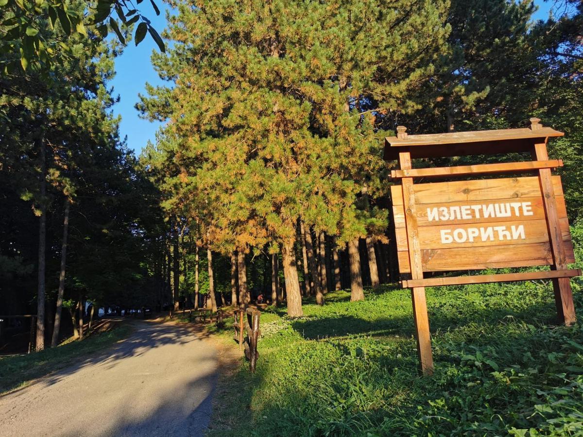 Vila Breza Sokobanja Buitenkant foto