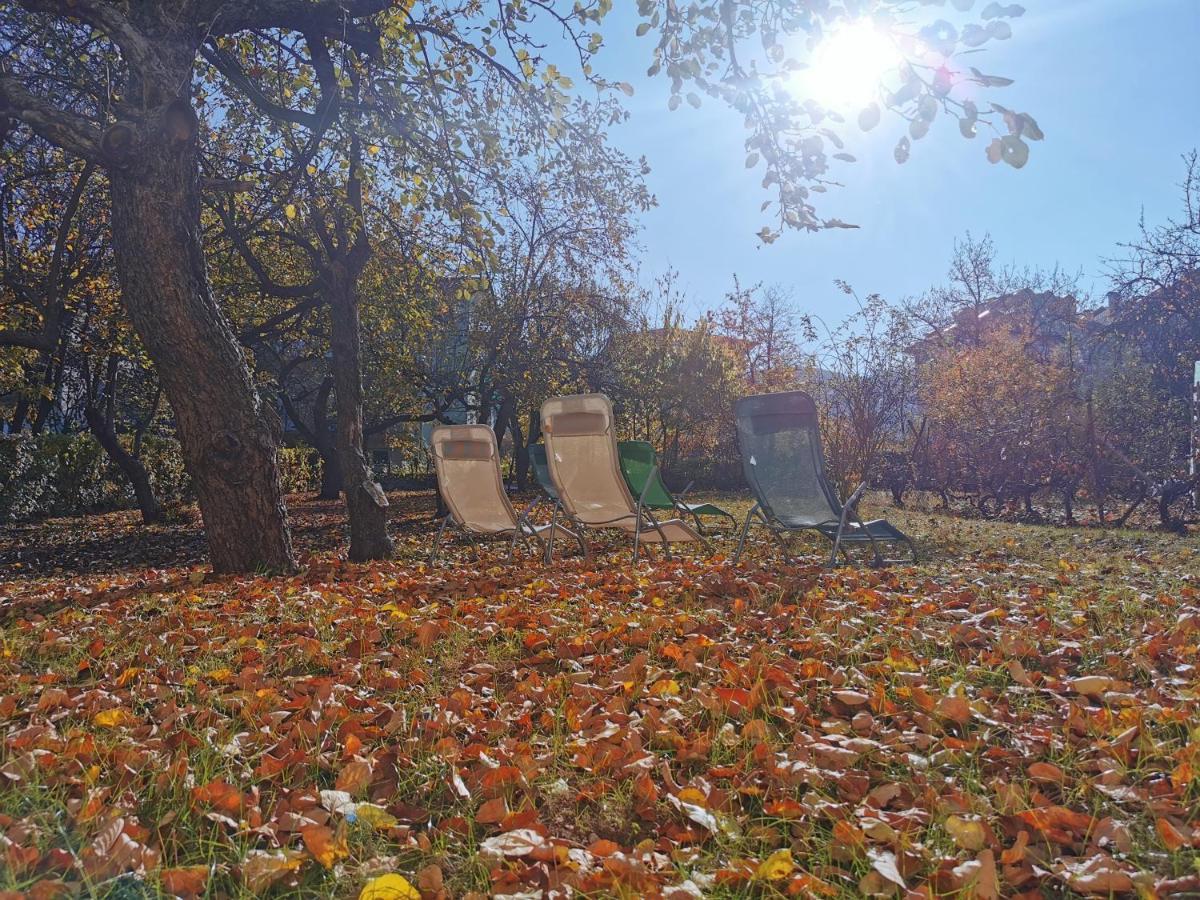 Vila Breza Sokobanja Buitenkant foto