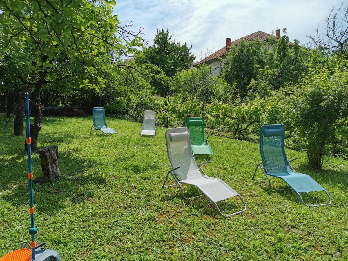 Vila Breza Sokobanja Buitenkant foto
