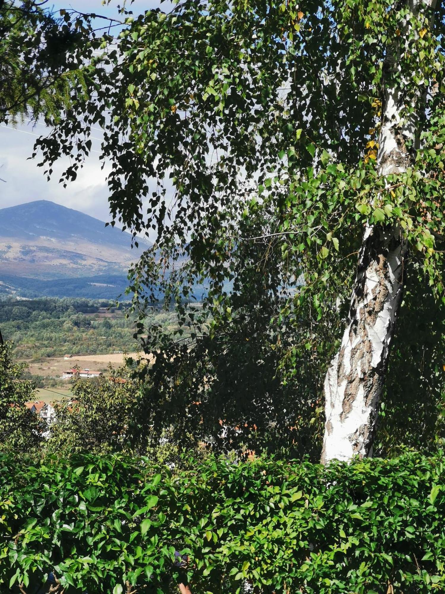 Vila Breza Sokobanja Kamer foto